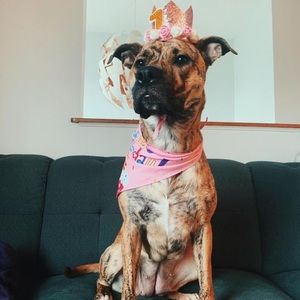 Meet your Posher, Jin